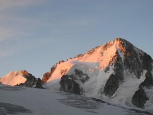 Chardonnet at Dawn